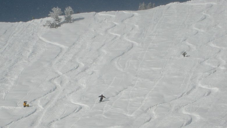 IMG_8009a.jpg (300.5 KiB) Viewed 1346 times IMG_8009a.jpg